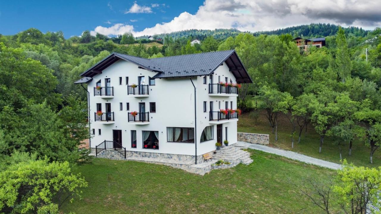 Hotel Linistea Codrului Borşa Exterior foto